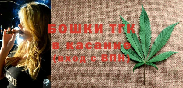 ПСИЛОЦИБИНОВЫЕ ГРИБЫ Баксан