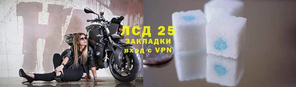 ПСИЛОЦИБИНОВЫЕ ГРИБЫ Баксан