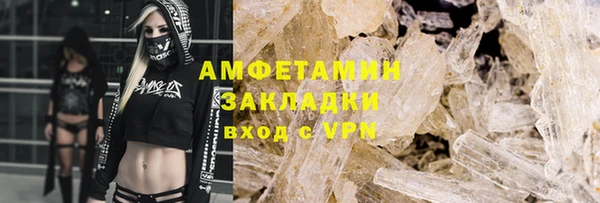 ГАЛЛЮЦИНОГЕННЫЕ ГРИБЫ Сосновый Бор