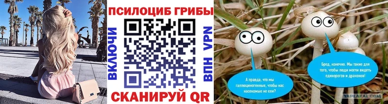 где купить наркоту  Верея  Псилоцибиновые грибы мухоморы 